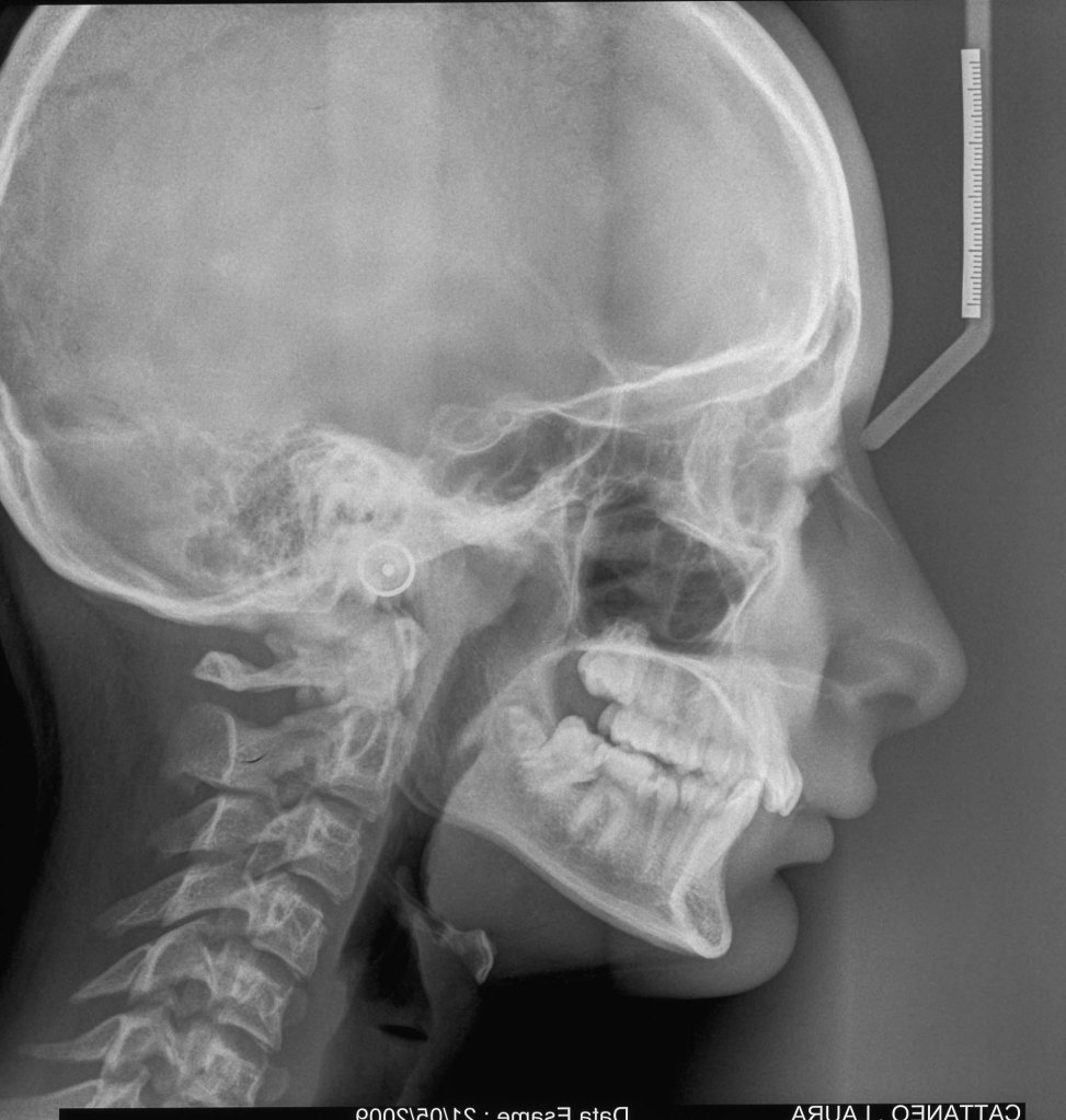 Questa immagine ha l'attributo alt vuoto; il nome del file è cattaneo-laura-tele09.jpg